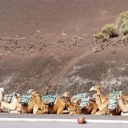 Hotel Sandos Papagayo Playa Blanca (Lanzarote)