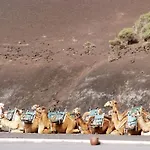 מלון Sandos Papagayo פלאיה בלנקה