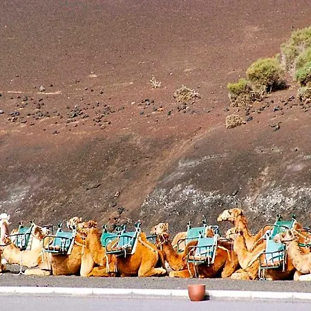 Sandos Papagayo 普拉亚布兰卡