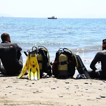 Sandos Papagayo Отель