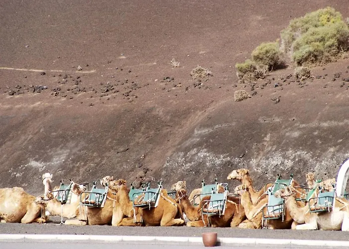 فندق Sandos Papagayo بلايا بلانكا